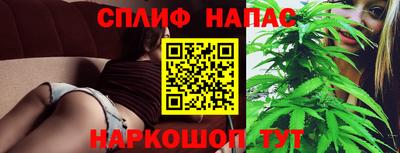 СК Нальчик