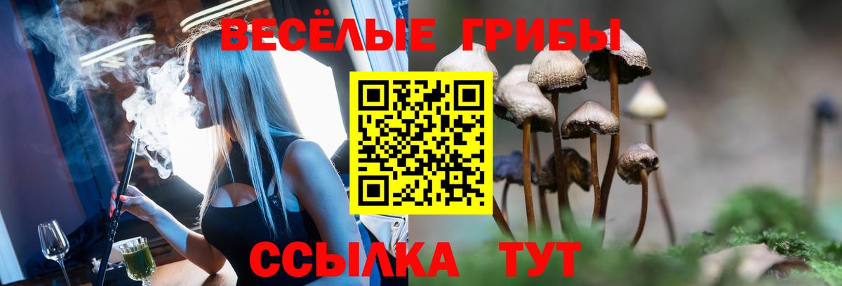 Саров  Галлюциногенные грибы Cubensis  Вход с VPN 